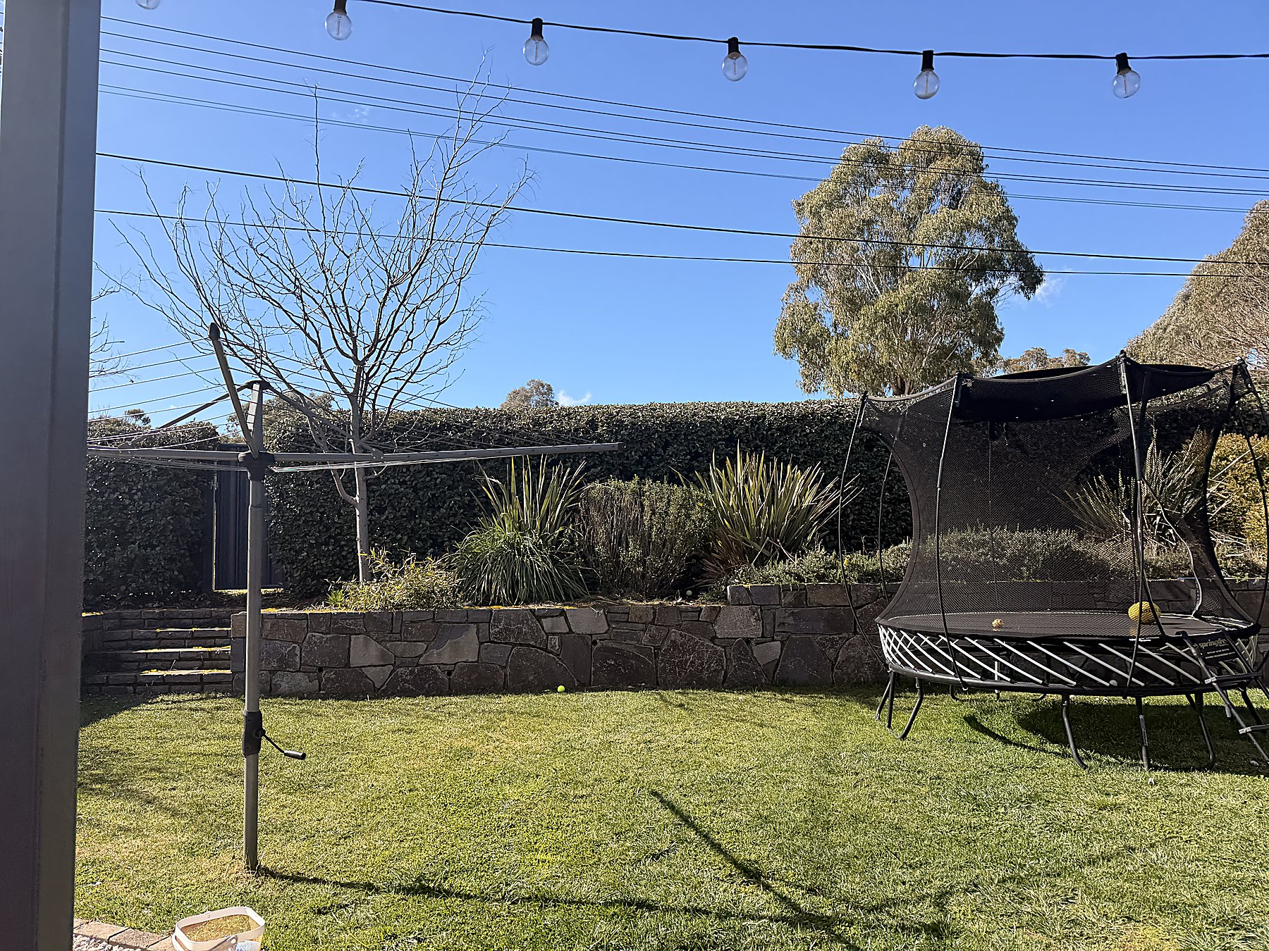 Backyard lawn presentation — Mowtion Gardens, Canberra