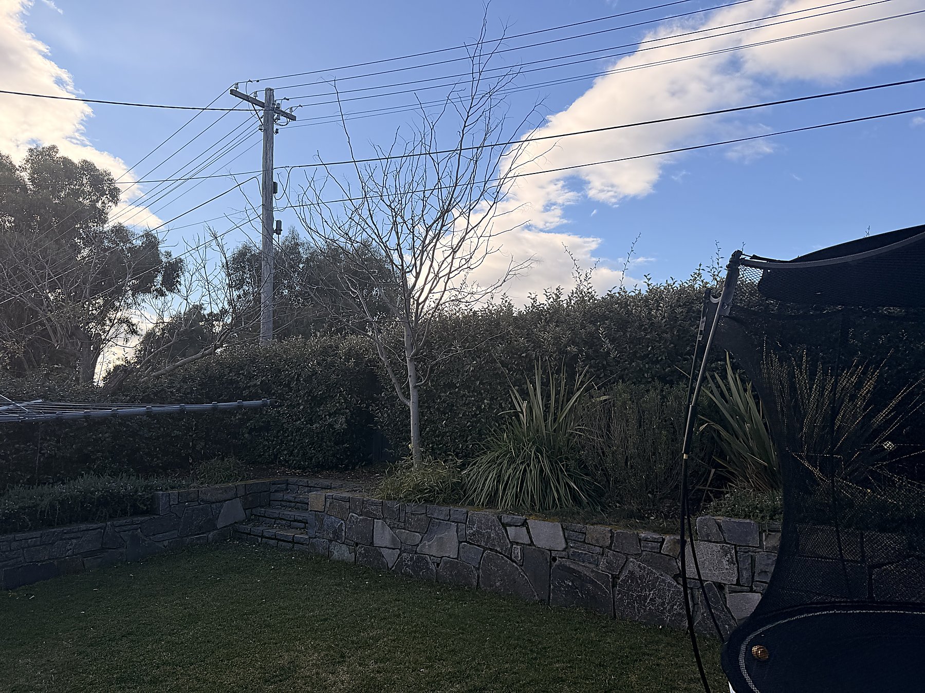 Backyard lawn and stone retaining wall — Mowtion Gardens, Canberra