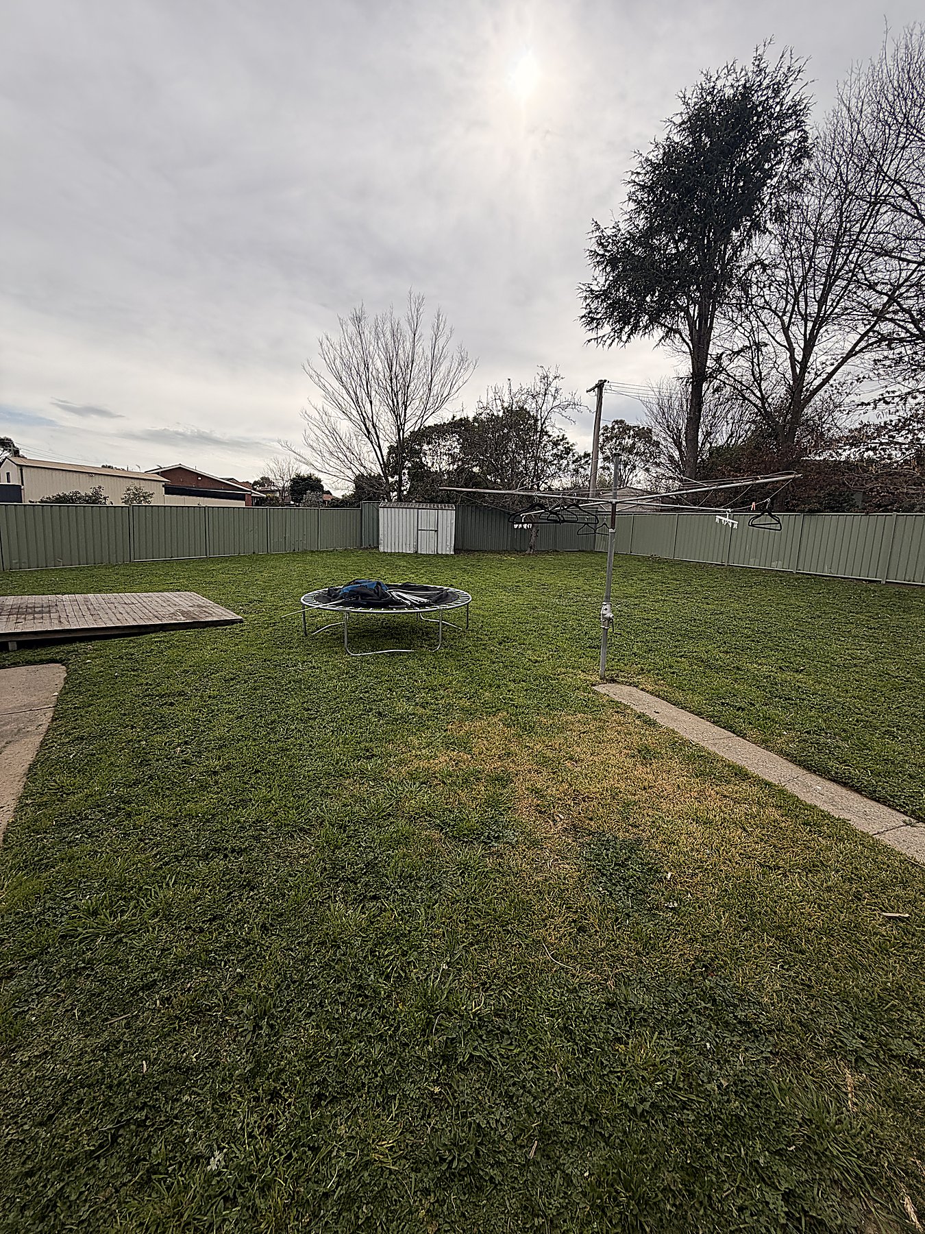 Backyard lawn presentation — Mowtion Gardens, Canberra