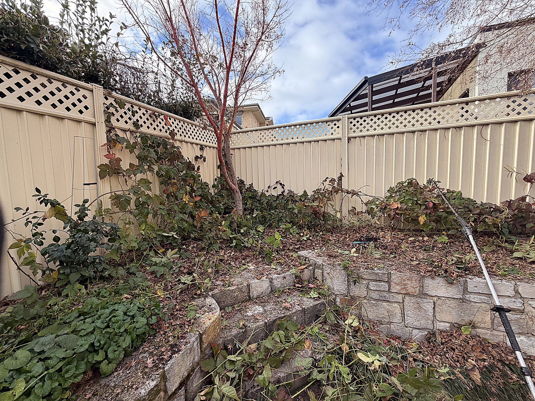 Garden Clean-Ups — Mowtion Gardens, Canberra