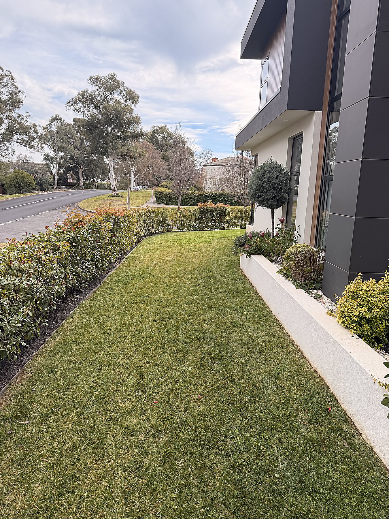 Lawn Mowing — Mowtion Gardens, Canberra
