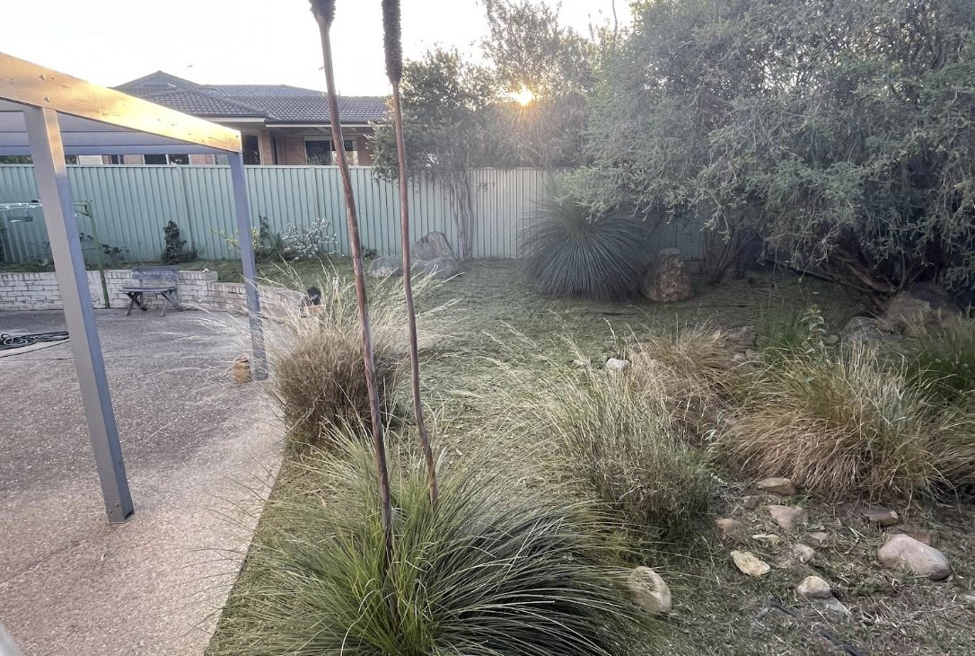 Residential Garden Maintenance Packages — Mowtion Gardens, Canberra