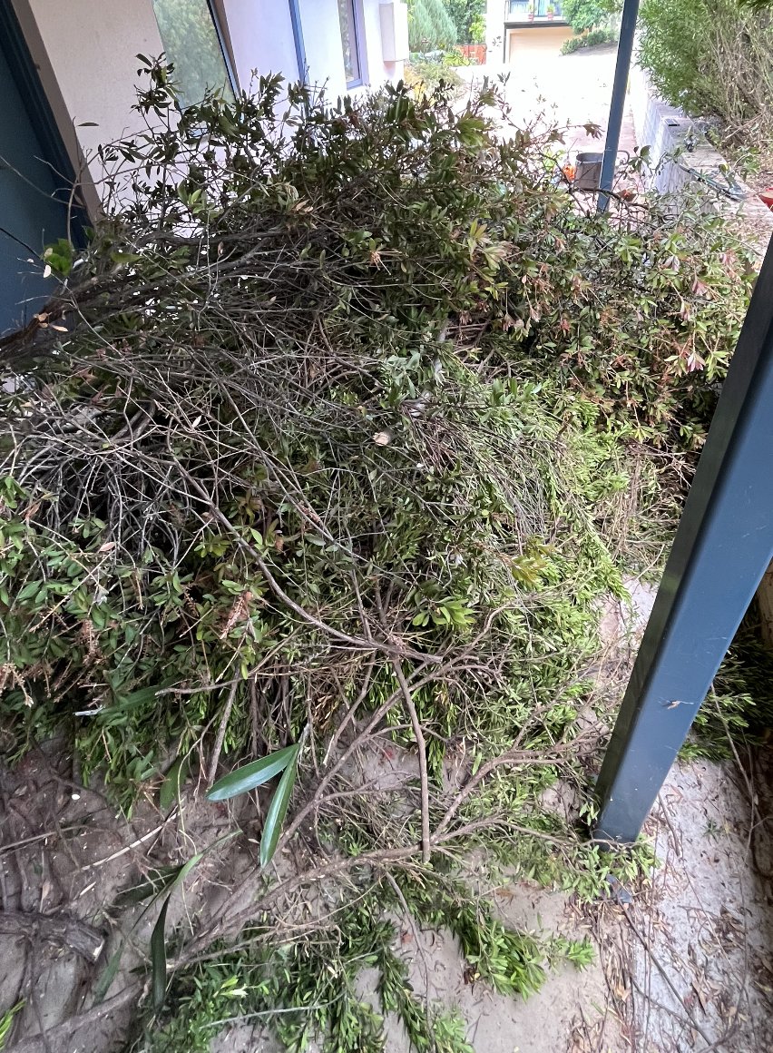 Green Waste Removal — Mowtion Gardens, Canberra