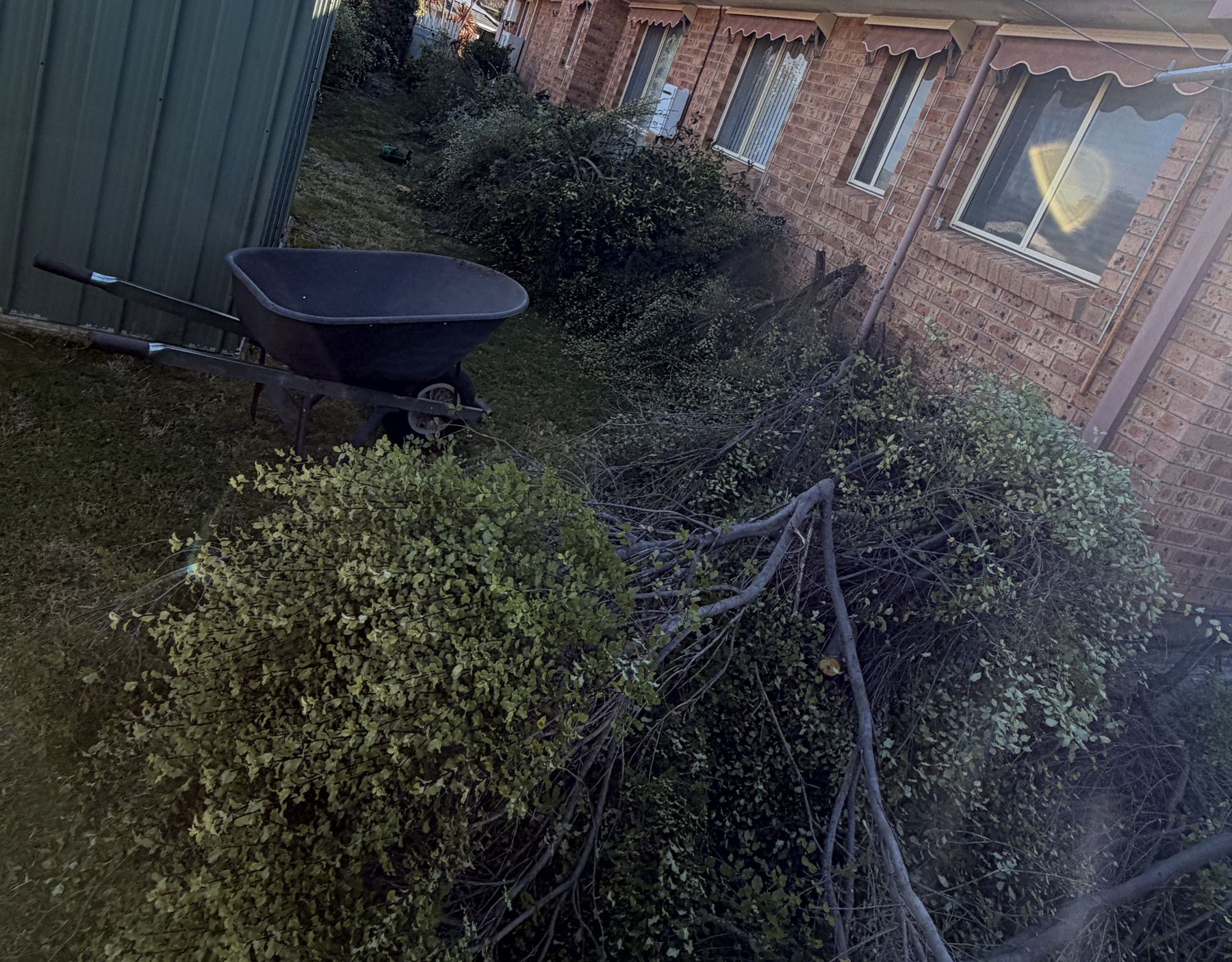 Green Waste Removal — Mowtion Gardens, Canberra