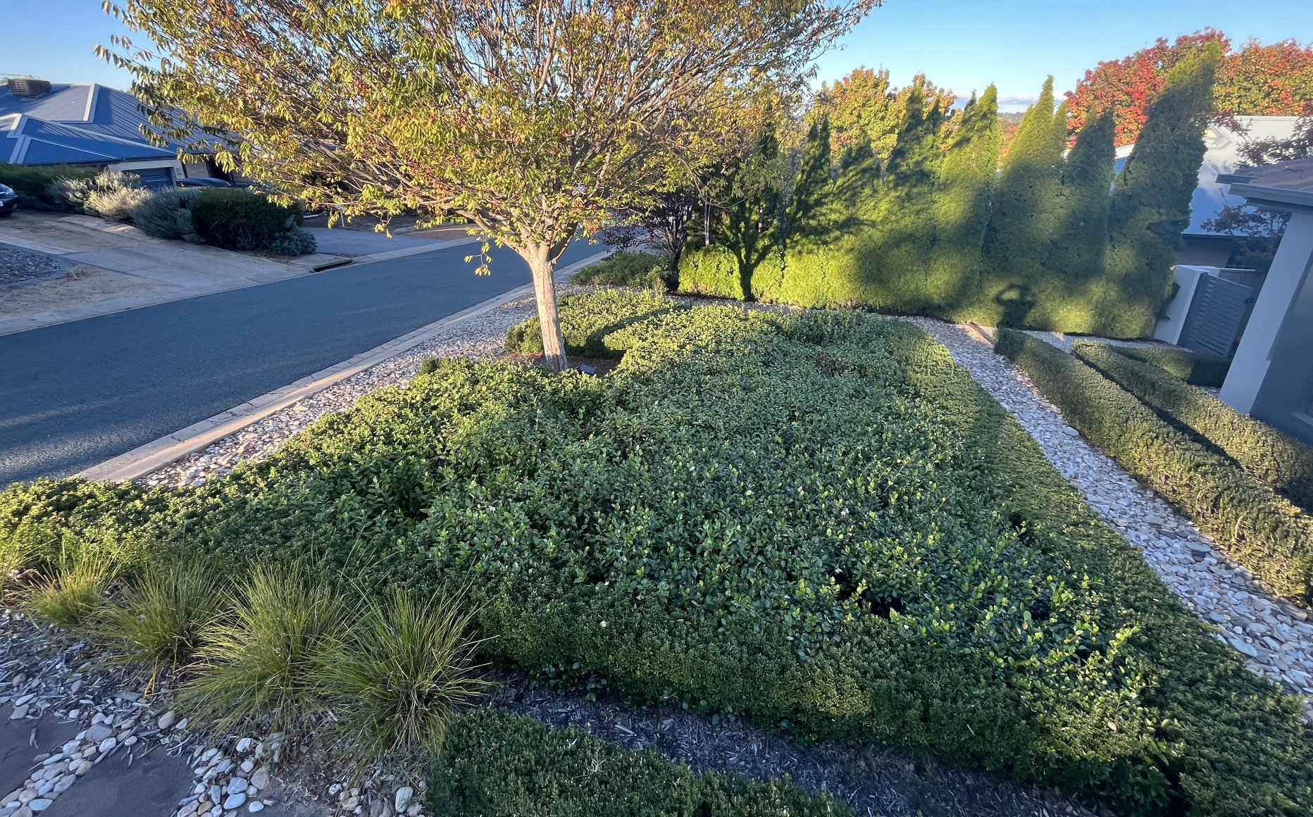 Residential Garden Maintenance Packages — Mowtion Gardens, Canberra
