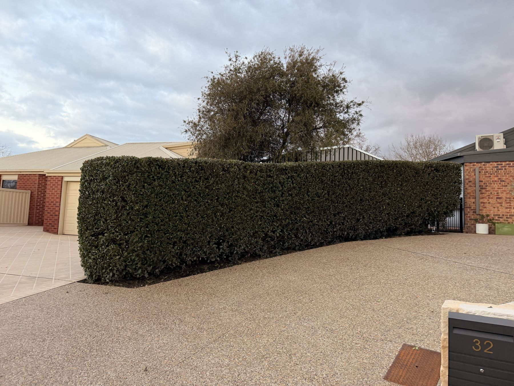 Hedge Trimming — Mowtion Gardens, Canberra