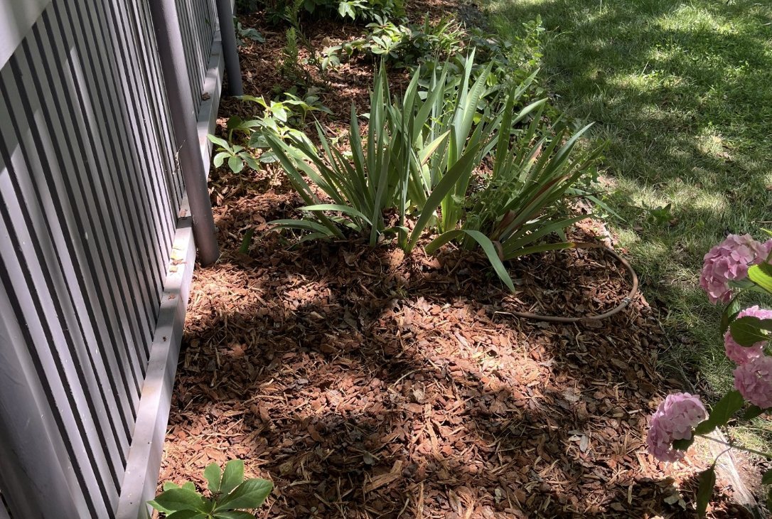Garden Bed Restoration — Mowtion Gardens, Canberra