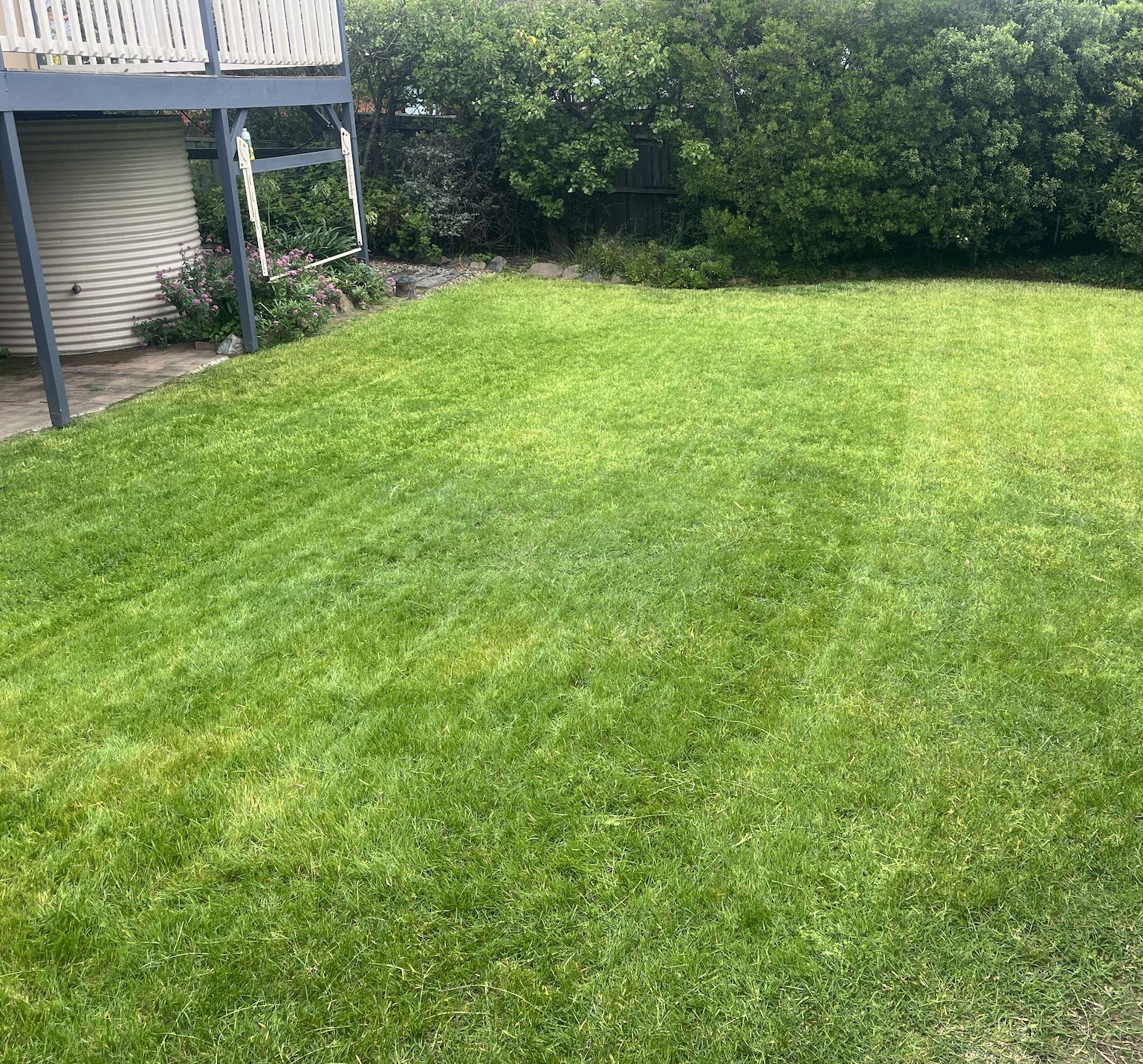 Lawn Mowing — Mowtion Gardens, Canberra