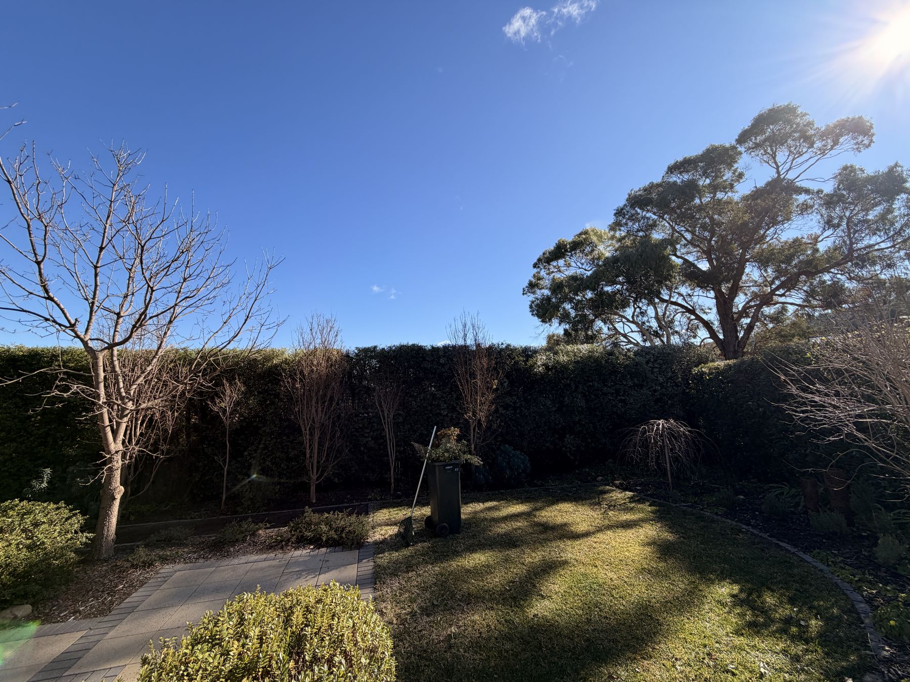 Pruning & Hedge Reduction — Mowtion Gardens, Canberra