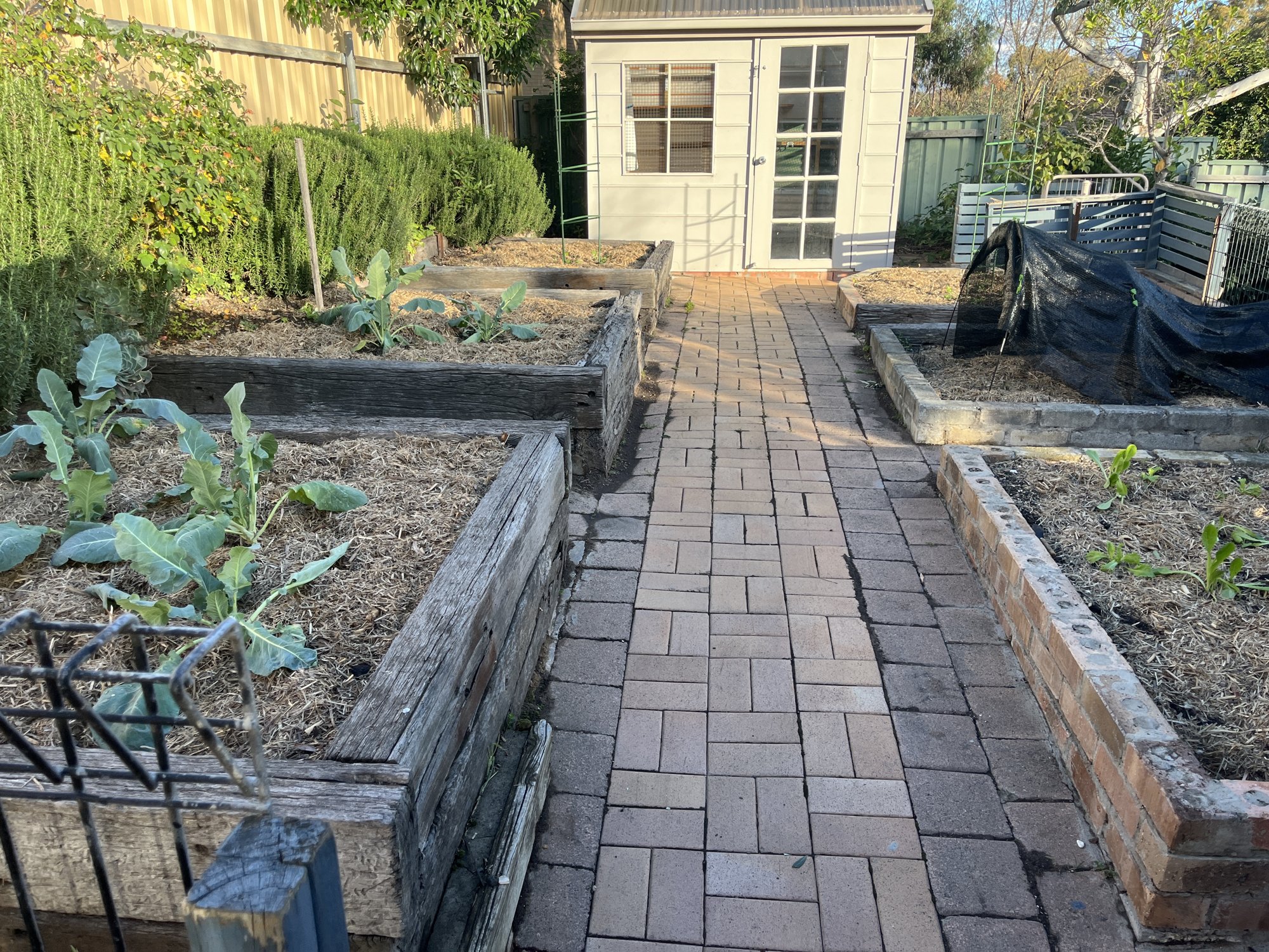 Residential Garden Maintenance Packages — Mowtion Gardens, Canberra