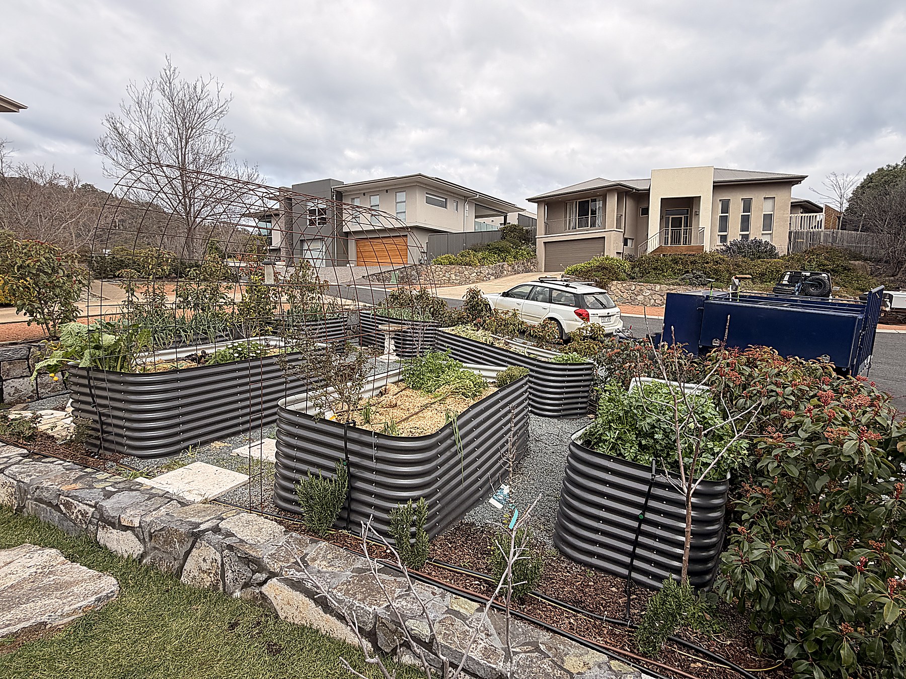 Garden Clean-Ups — Mowtion Gardens, Canberra